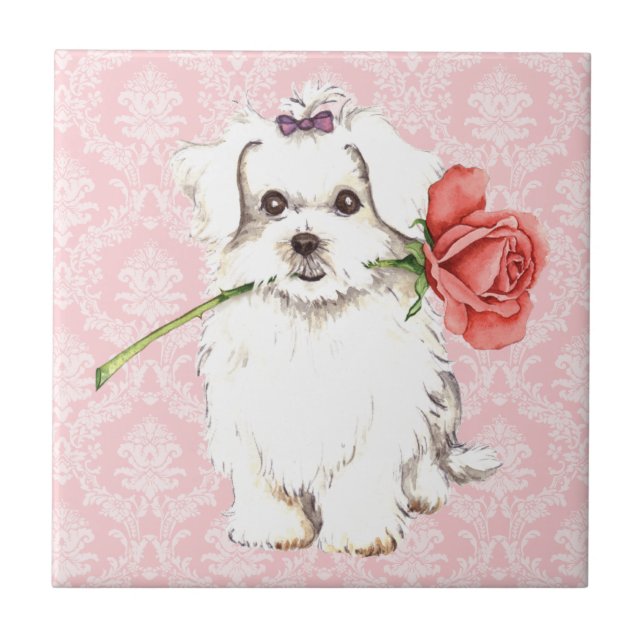 Valentine Rose Maltese Tile (Front)