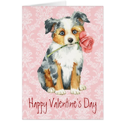 Valentine Rose Mini American Shepherd