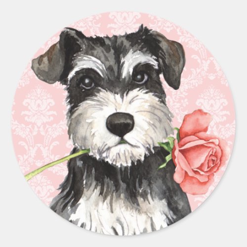Valentine Rose Mini Schnauzer Classic Round Sticker