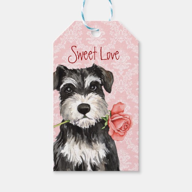 Schnauzer presents online