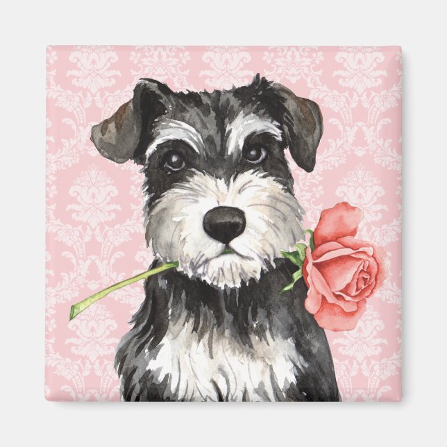 Valentine Rose Mini Schnauzer Magnet (Front)
