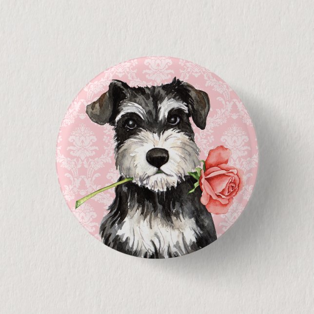 Valentine Rose Mini Schnauzer Pinback Button (Front)