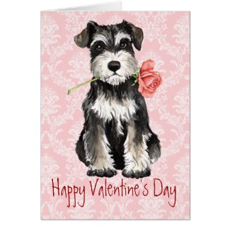 Valentine Rose Miniature Schnauzer Greeting Card