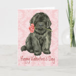 Valentine Rose Newfoundland Holiday Card