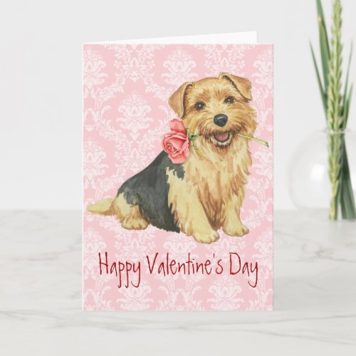 Valentine Rose Norfolk Terrier Holiday Card