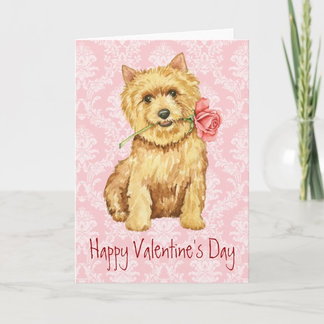 Valentine Rose Norwich Terrier Holiday Card (Front)