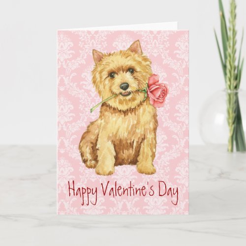 Valentine Rose Norwich Terrier Holiday Card