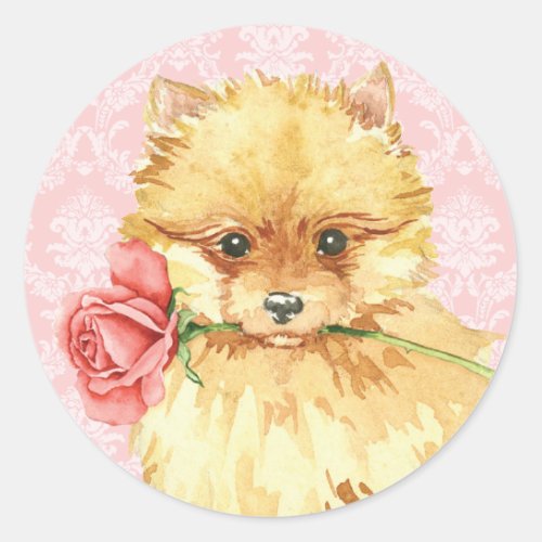 Valentine Rose Pomeranian Classic Round Sticker