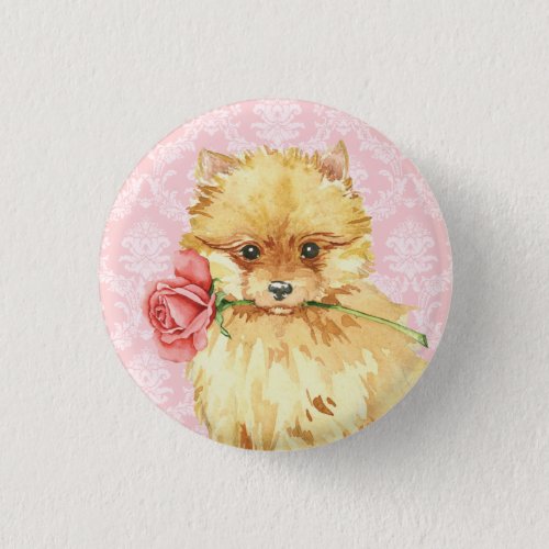 Valentine Rose Pomeranian Pinback Button