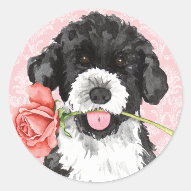 Valentine Rose PWD Classic Round Sticker (Front)