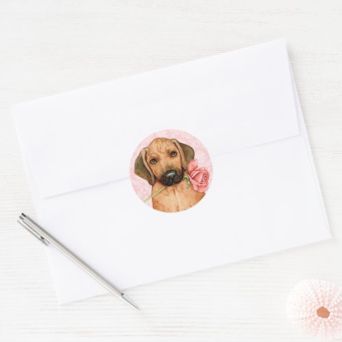 Valentine Rose Rhodesian Ridgeback Classic Round Sticker