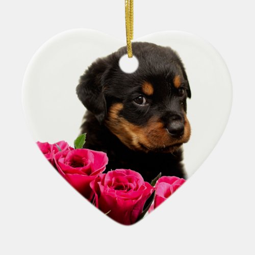 Valentine Rose Rottweiler Puppy Ceramic Ornament