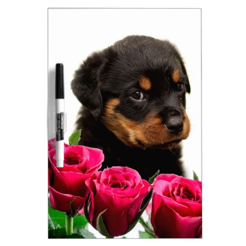 Valentine Rose Rottweiler Puppy Dry Erase Board