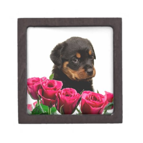 Valentine Rose Rottweiler Puppy Jewelry Box