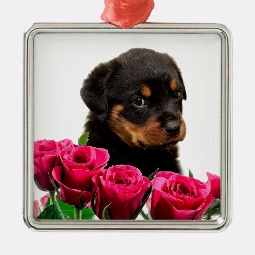 Valentine Rose Rottweiler Puppy Metal Ornament