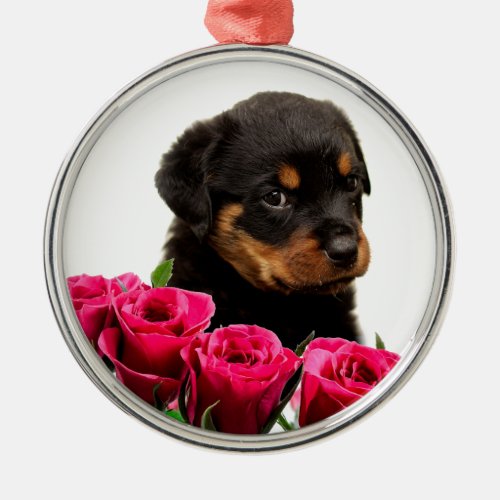 Valentine Rose Rottweiler Puppy Metal Ornament