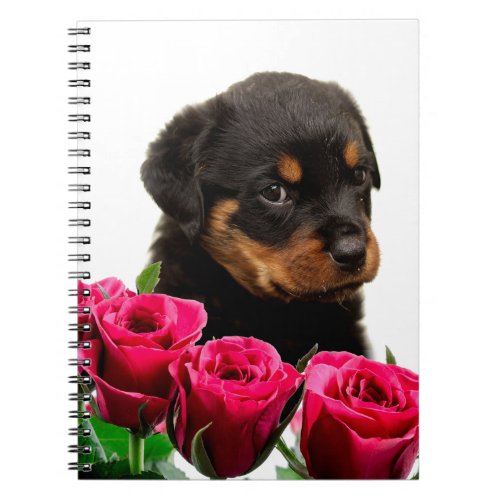 Valentine Rose Rottweiler Puppy Notebook