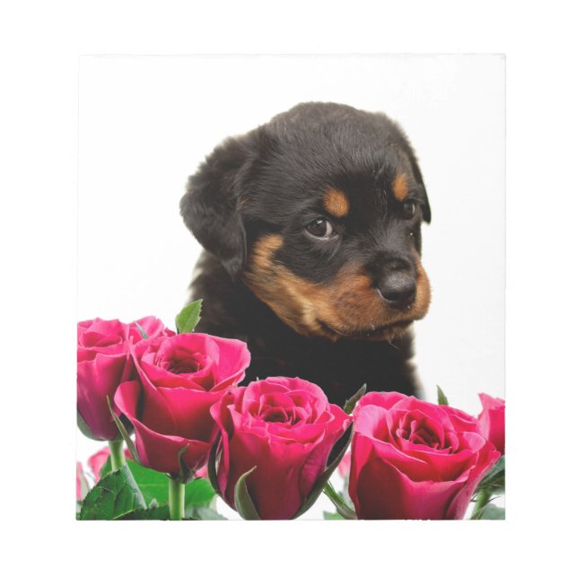 Valentine Rose Rottweiler Puppy Notepad (Front)