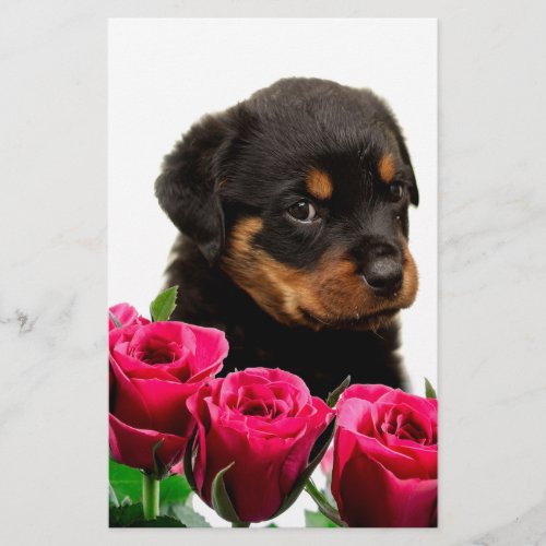 Valentine Rose Rottweiler Puppy Stationery