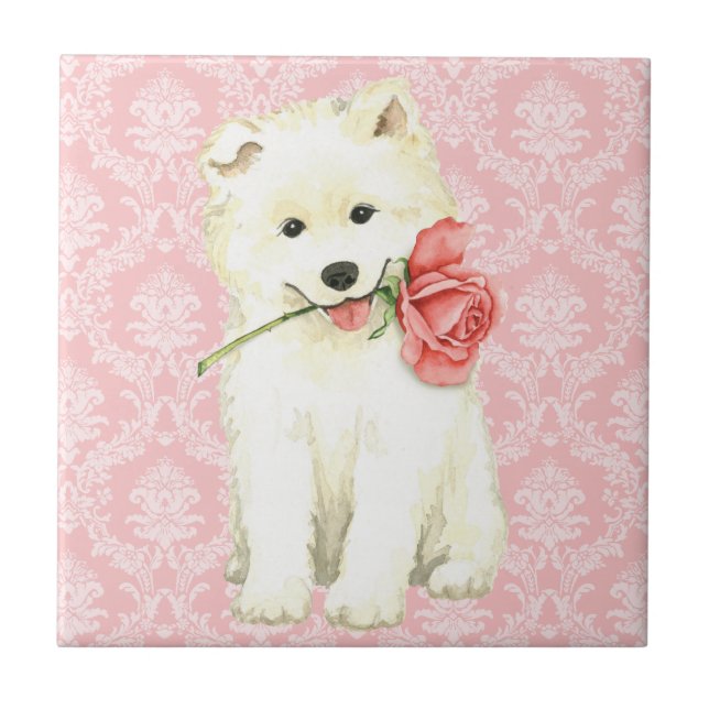 Valentine Rose Samoyed Ceramic Tile (Front)