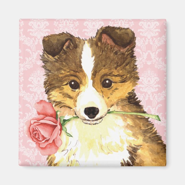 Valentine Rose Sheltie Magnet (Front)
