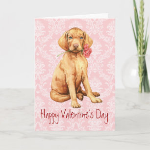 Valentine Rose Vizsla Holiday Card