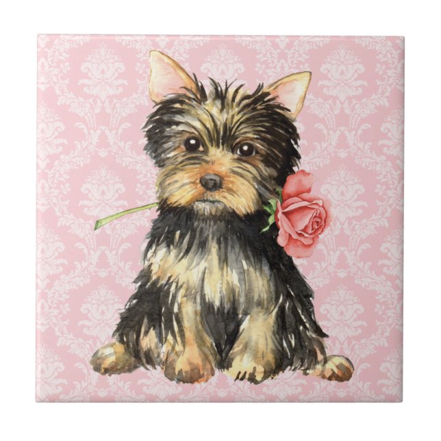 Valentine Rose Yorkie Ceramic Tile (Front)