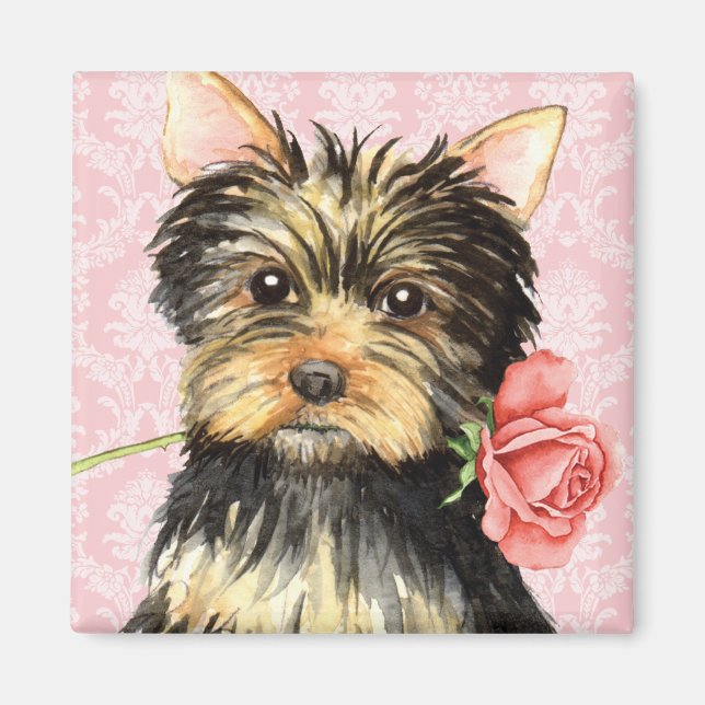 Valentine Rose Yorkie Magnet (Front)