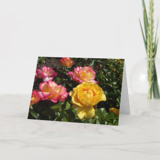 Valentine Roses Holiday Card
