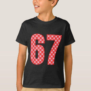 Valentine’s Day 67 Meme Filled With Hearts Funny S T-Shirt