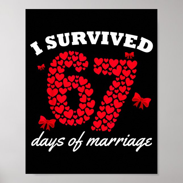Valentine’s Day I Survived 67 Days Of Marriage Fun Poster (Front)