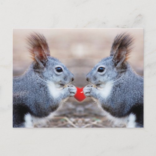 Valentine Squirrels Postcard