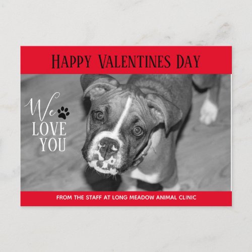 Valentine Veterinary Holiday Cards