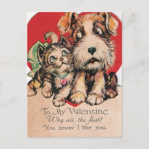 Valentine Why All The Fuss Holiday Postcard