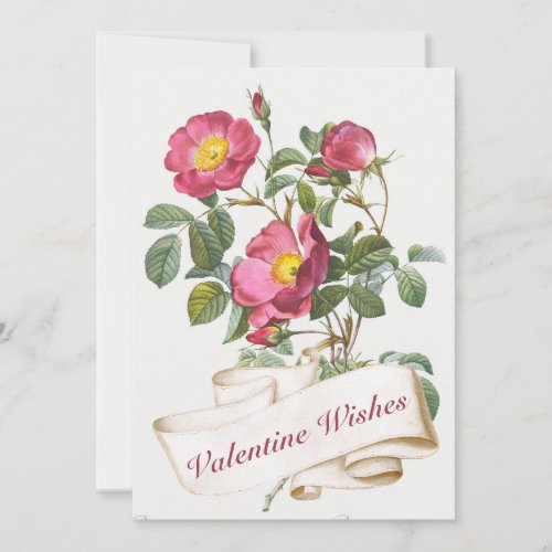 Valentine Wishes Vintage Pink Rose Flower Scroll   Holiday Card