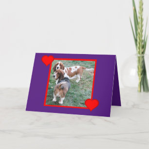 Valentine With Cute and Funny Basset Hounds Holiday Card