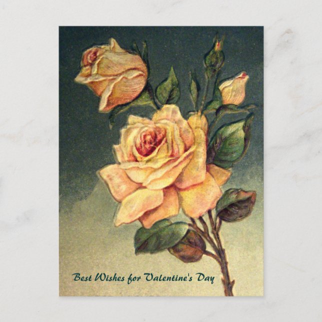 Valentine Yellow Roses Vintage Postcard (Front)