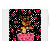 VALENTINE YORKIE (Front Horizontal)
