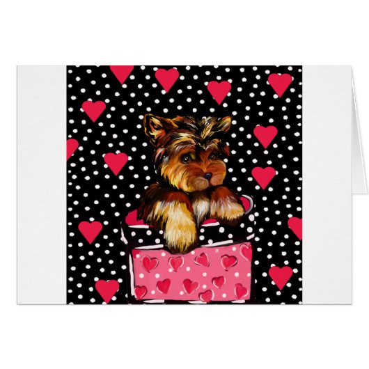 VALENTINE YORKIE (Front Horizontal)