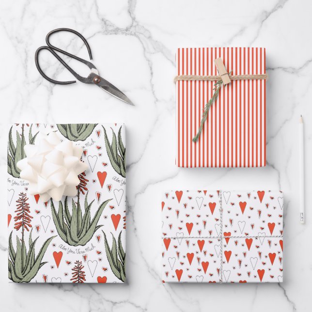 Valentines Aloe Plants Succulents Stripes Hearts Wrapping Paper Sheets (Front)
