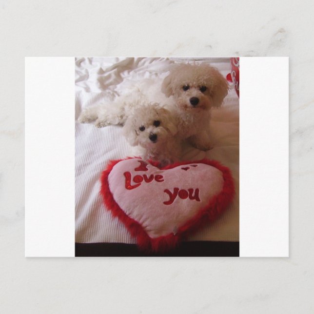 Valentines Babies Holiday Postcard (Front)