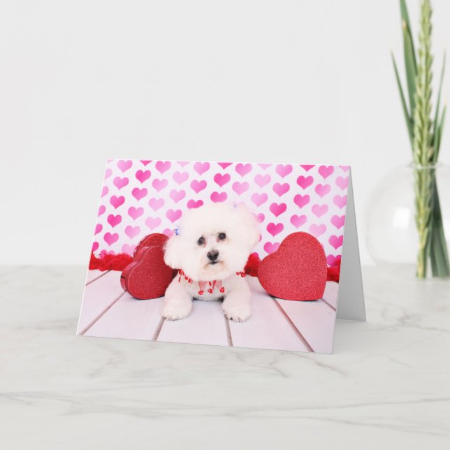 Valentines - Bichon Frise - Lilly Holiday Card (Front)