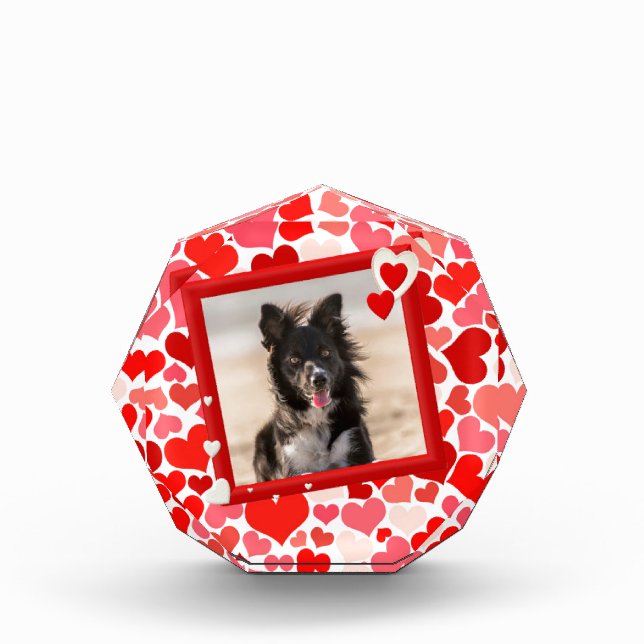 Valentines Border Collie Dog Hearts Award (Front)