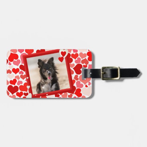 Valentines Border Collie Dog Hearts Luggage Tag