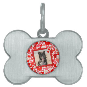 Valentines Border Collie Dog Hearts Pet Tag