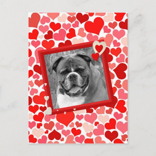 Valentines Boxer Dog Hearts Holiday Postcard