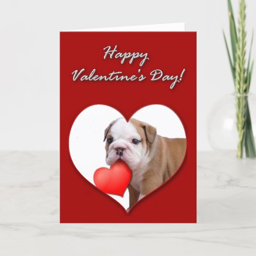 Valentines bulldog puppy card