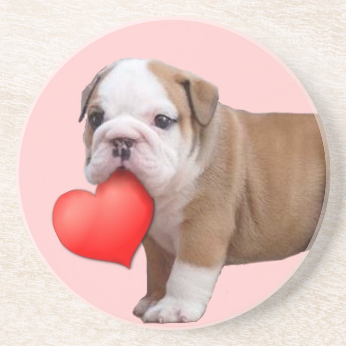 Valentine's bulldog puppy coaster