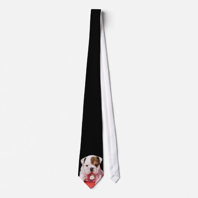 Valentine's bulldog puppy necktie (Front)