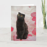 Valentine&#39;s Cat Holiday Card at Zazzle